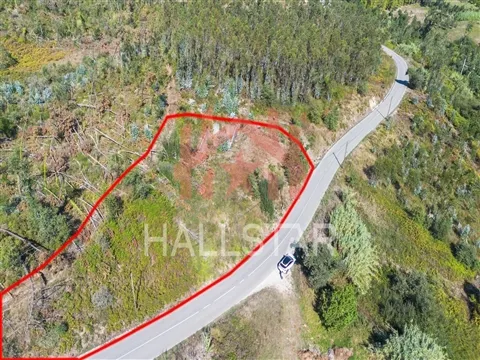 Lote de Terreno para Construção / 2.770m2 / Souto da Carpalhosa
