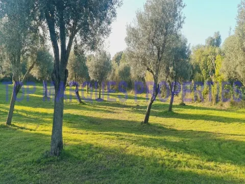 Terreno com Ruína com projecto de Construção