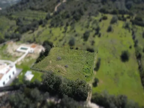 Terreno Rústico para Venda em Santa Bárbara de Nexe