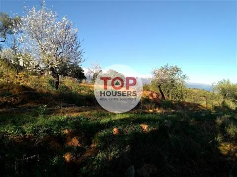 Terrain Rustique - Certification Biologique - 7ha