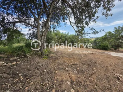 Rustic plot with sea views in Boliqueime