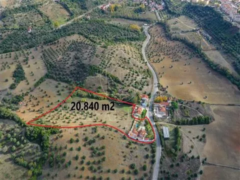 Quinta de Luxo, localizada em Torres Novas no distrito de Santarém.