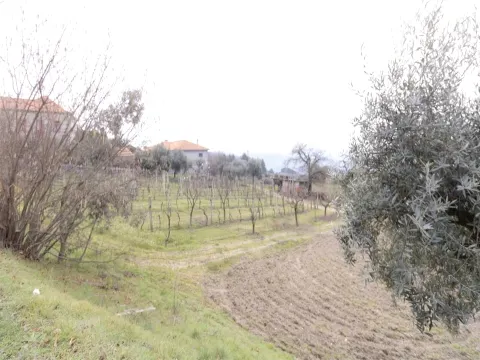 Terreno para Construção - São João de Lourosa