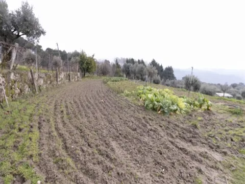 Terreno para Construção - São João de Lourosa