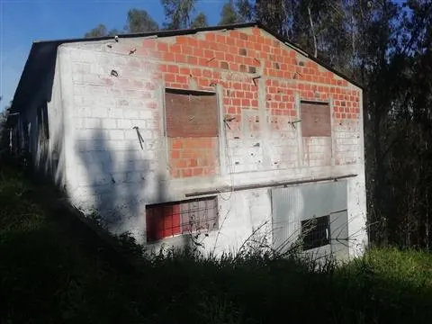 Armazém/ Aviário / Carnide