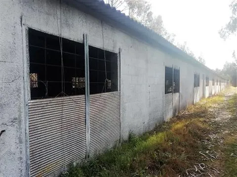 Armazém/ Aviário / Carnide