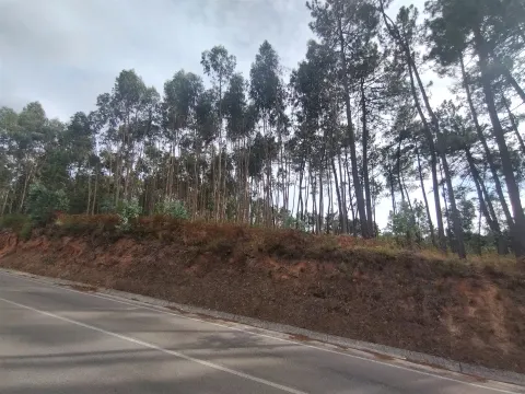 Terreno / Construção / Lameiras / Caranguejeira  