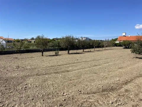 Terreno / Riba D´Aves / Ortigosa / Leiria