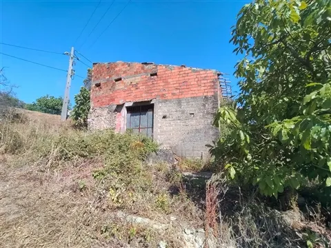 Moradia / Terreno / Poço / Colmeias / Leiria