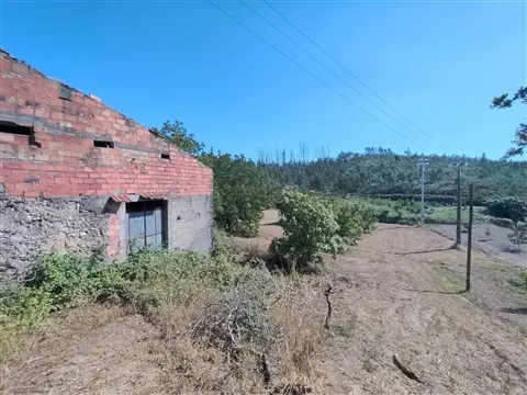 Moradia / Terreno / Poço / Colmeias / Leiria