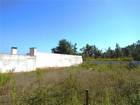 Real estate land