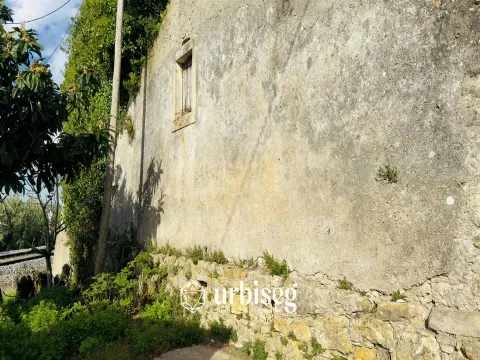 Maison >=10 Chambre(s)