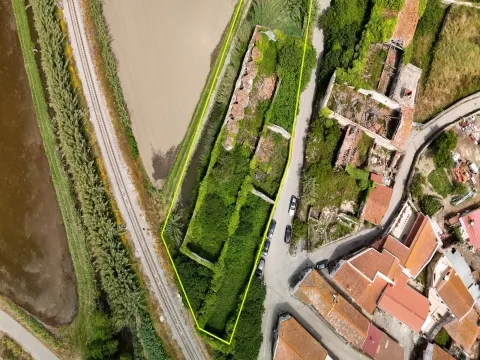 Casa de Adega e Alambique para Reconstrução – Entre Soure e Figueira da Foz
