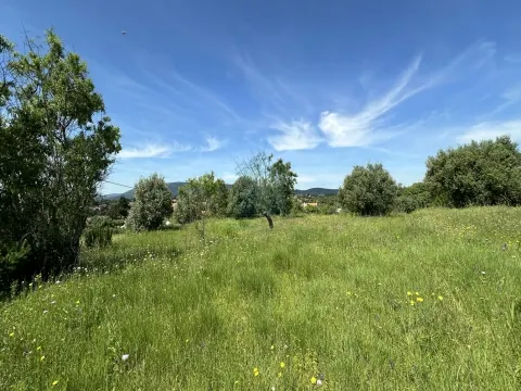 Terrain pour la construction de logements, Rendufas, Torres Novas