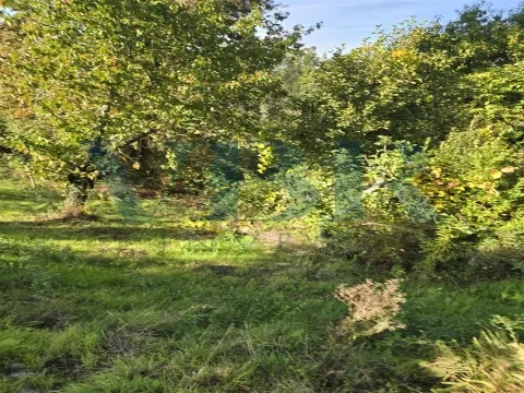 Moradia para Restaurar T3