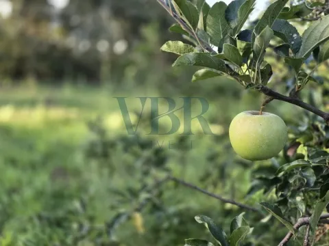 Moradia para Restaurar T3