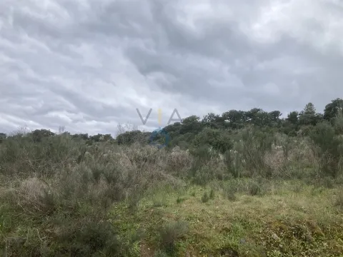 Terreno Rústico