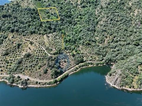 Rustico Terreno