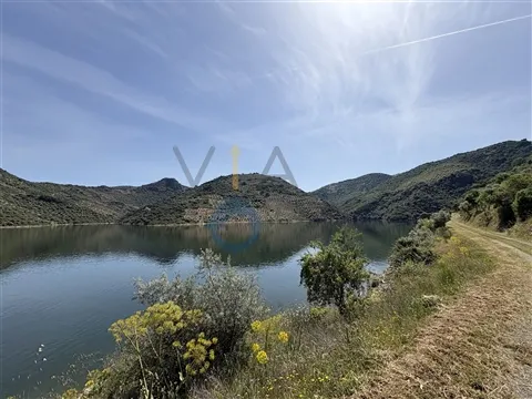 img_9