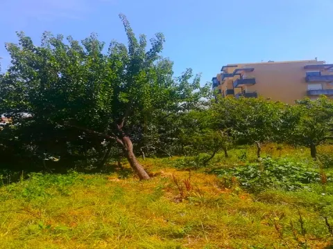 独立式的房子 4个房间