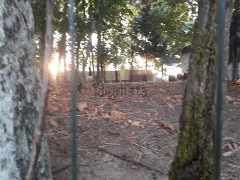 Piccola Fattoria 3 Vani