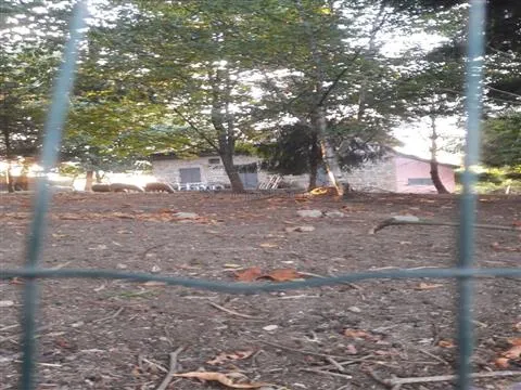 Piccola Fattoria 3 Vani