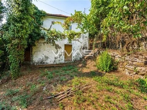 img_24