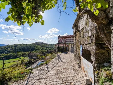 Detached house to restore Studio