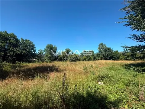 Terrain rural