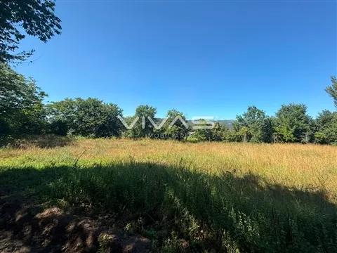 Terrain rural