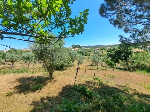 Urban Land with Views and Quick Access to Tomar &#124; Villarius Real Estate