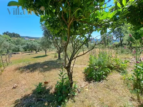 Urban Land with Views and Quick Access to Tomar &#124; Villarius Real Estate