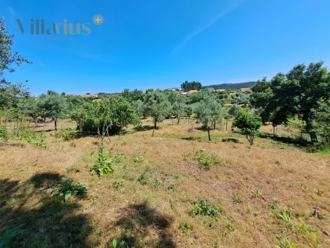 Urban Land with Views and Quick Access to Tomar &#124; Villarius Real Estate