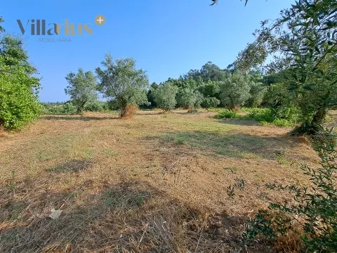 Land 11,460 m² with Approved Project — Tomar