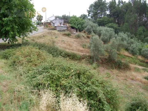 Land with feasibility of construction 3 min. From the river beach