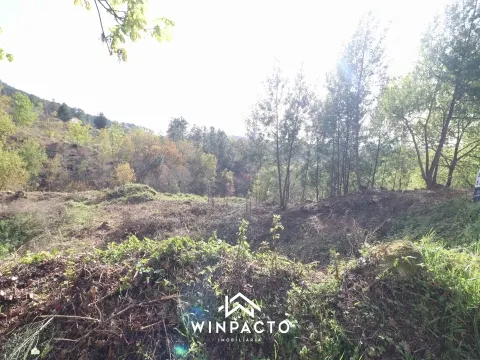 Piece of Real Estate