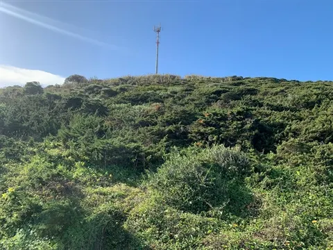 Terreno
