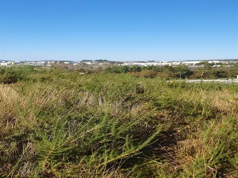 Terreno