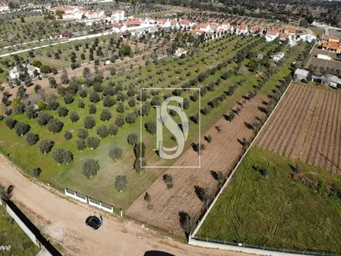 Terreno