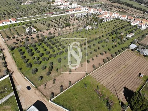 Terreno