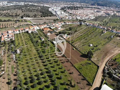 Terreno