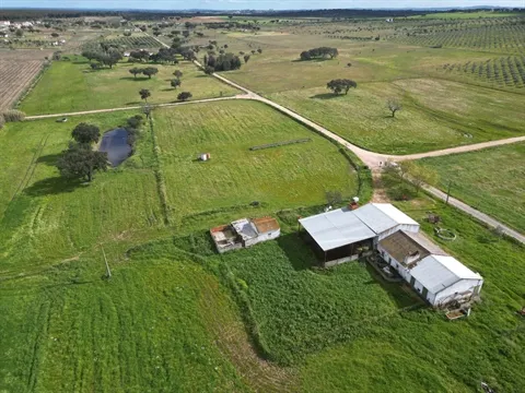 Quinta T2