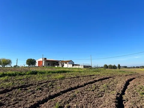 Quinta T2