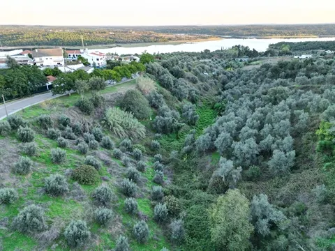 Terreno