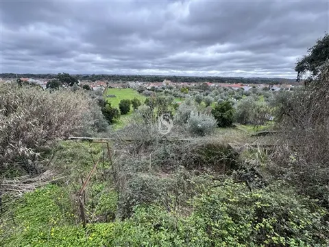 Quintinha