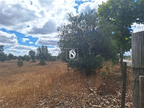 Terreno Rústico