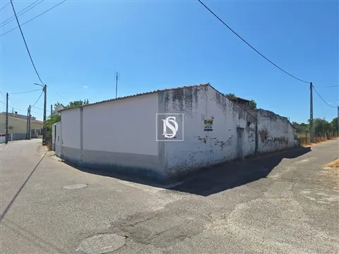 Quintinha T2