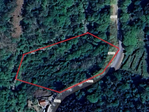 Moradia Devoluta