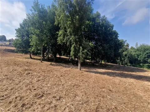 Quinta em Mouriz, Paredes