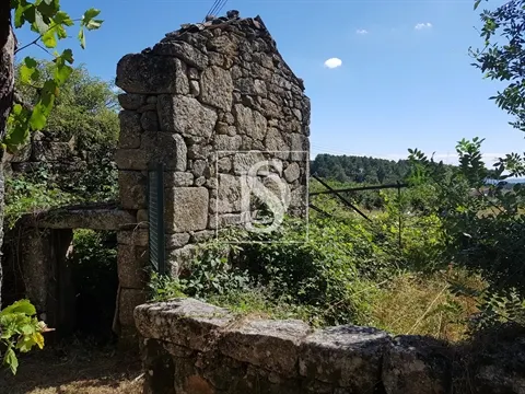 Quinta